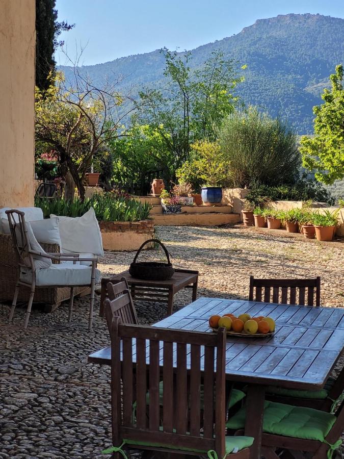 Bed and Breakfast Cortijo El Pino Retreat Альбуньюэлас Экстерьер фото