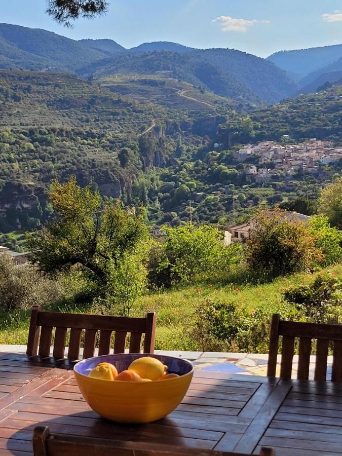Bed and Breakfast Cortijo El Pino Retreat Альбуньюэлас Экстерьер фото
